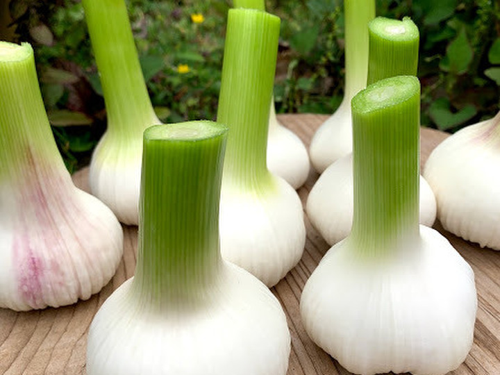 無農薬栽培の野菜や京野菜
