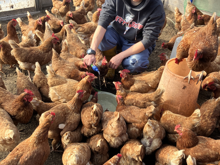 澁谷ファームへのレビュー・商品：北海道｜食べチョク｜産地直送