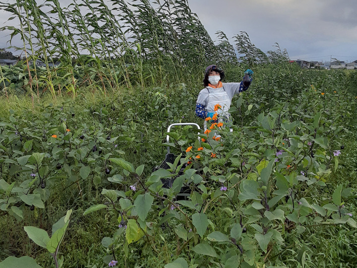生産者のこだわり