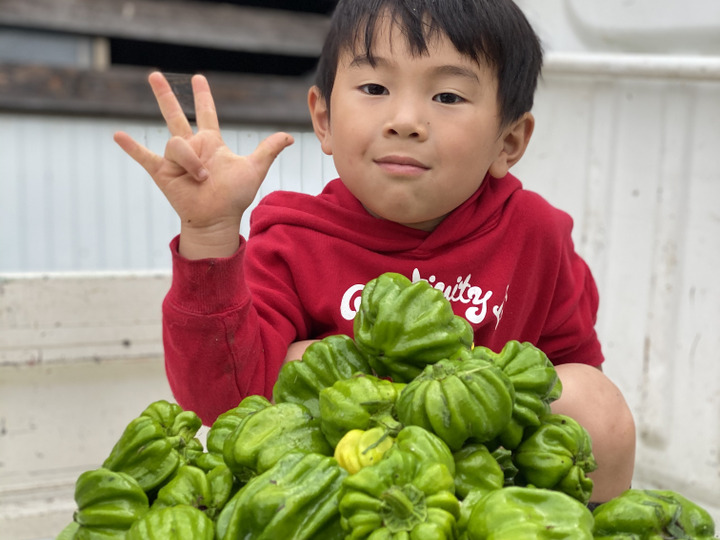 生産者のこだわり
