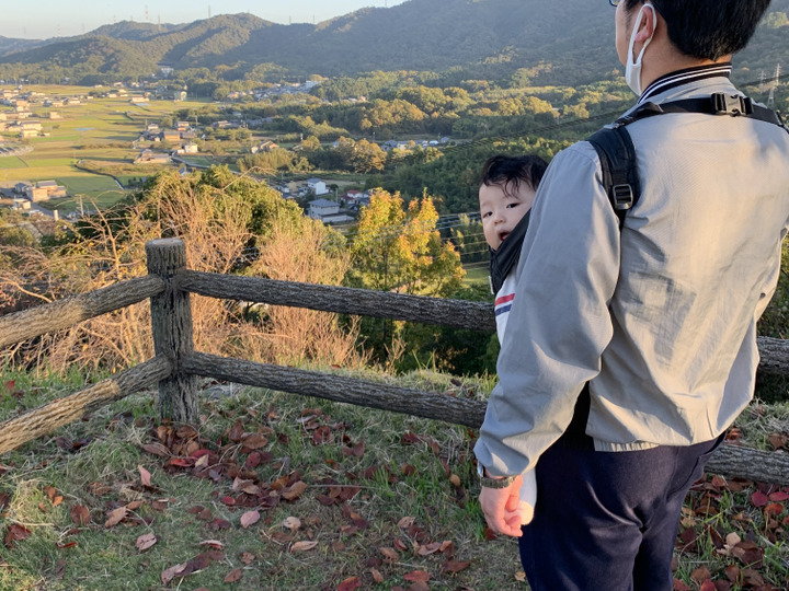 令和6年産 徳島県産あきさかり 30kg 秋の盛りに収穫しました