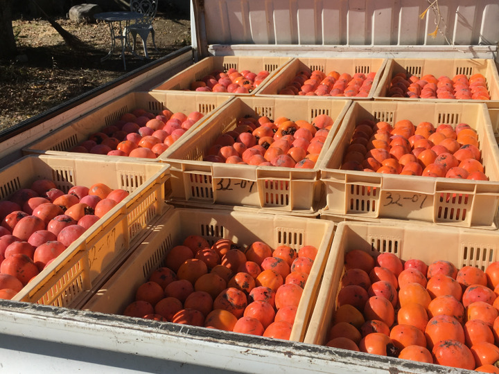 生産者のこだわり