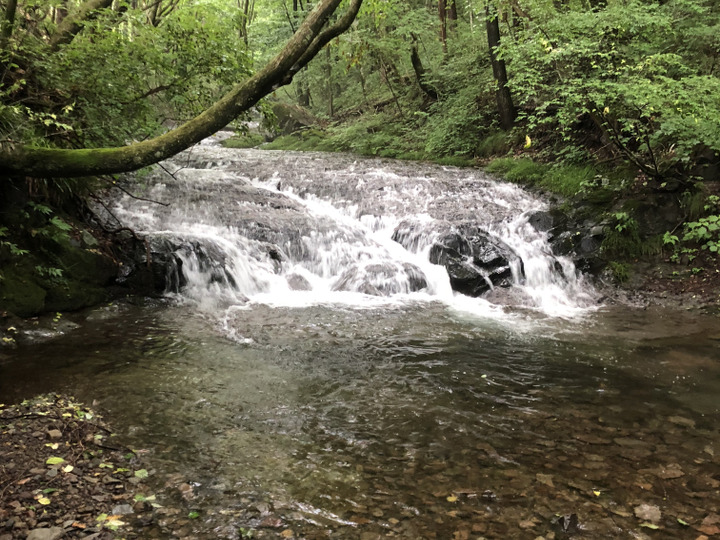 水