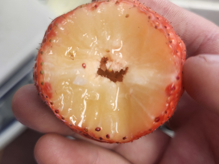 生産者のこだわり