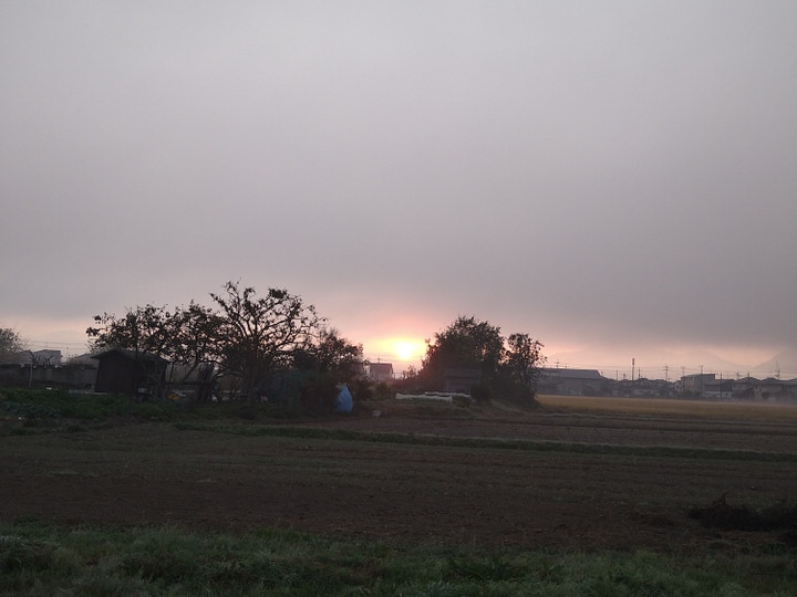 地球と生命に優しい農業を