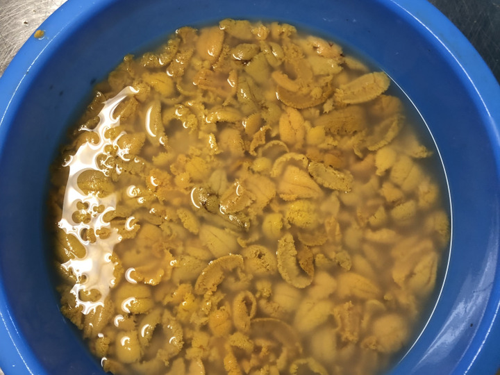生産者のこだわり