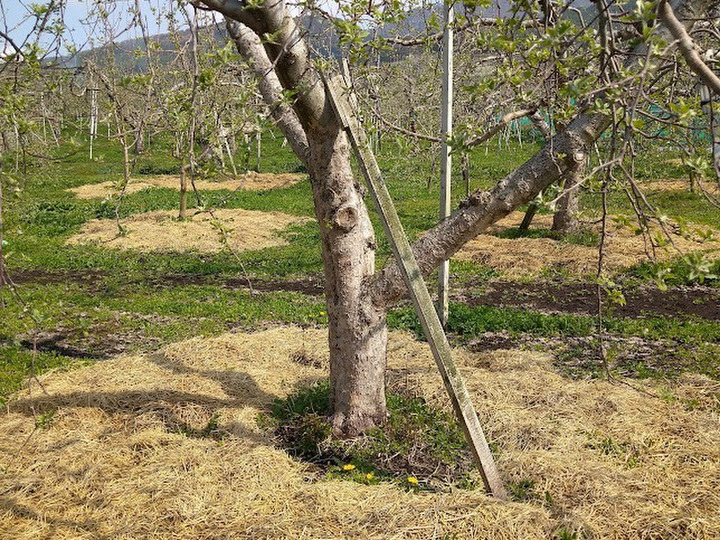生産者のこだわり
