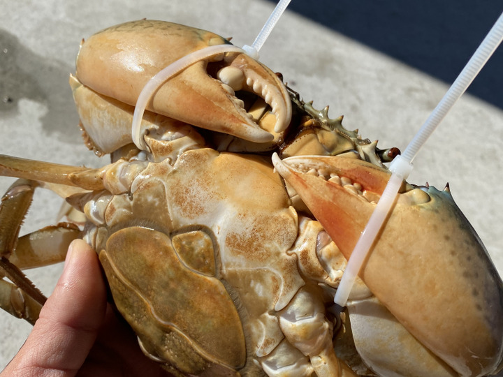 生産者のこだわり