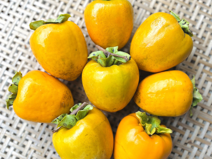 干し柿用！自然栽培渋柿（品種:蜂屋柿） 大玉 10玉 約2.5kg：福島県産