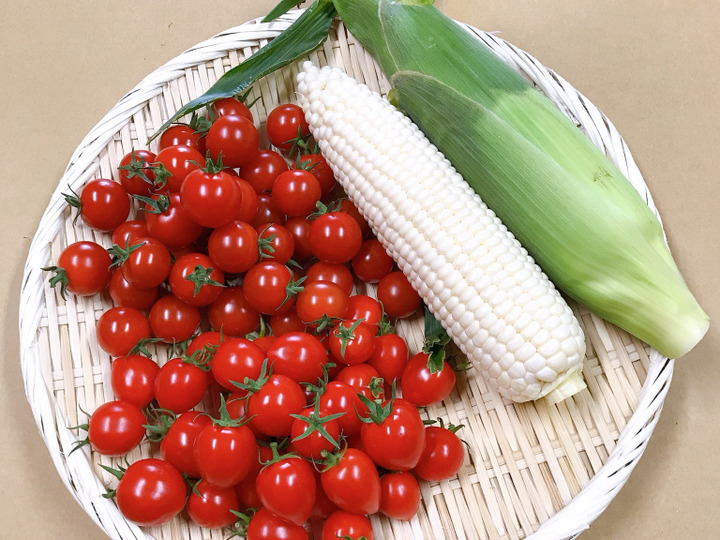生産者のこだわり