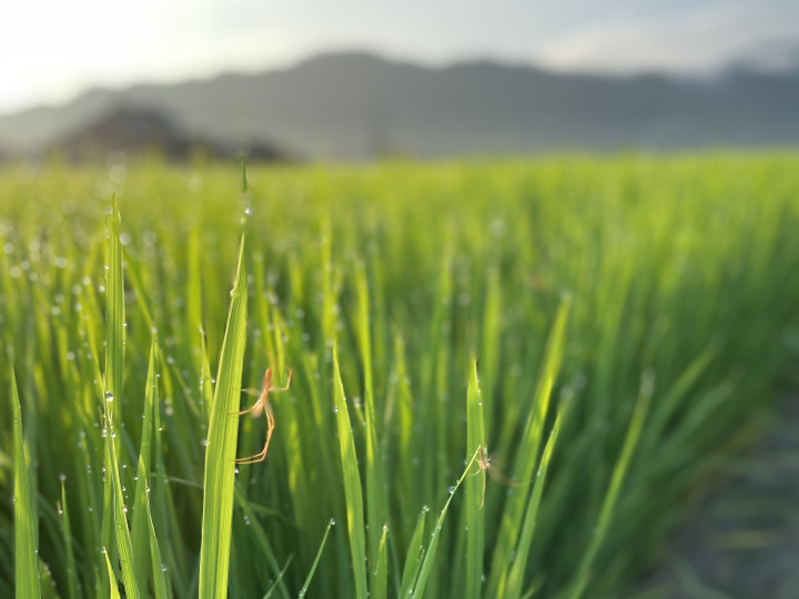 生物多様性、自然と共存。