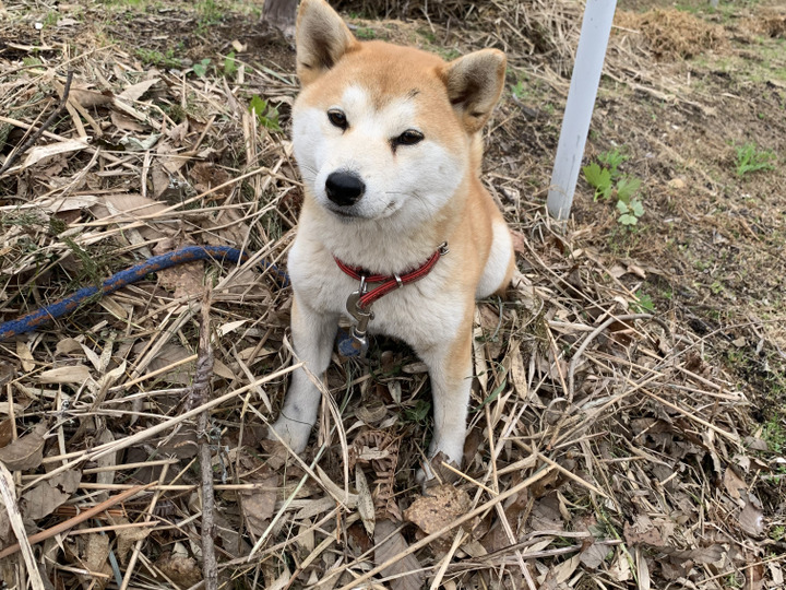生産者のこだわり