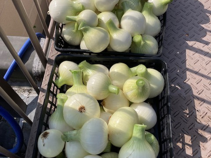 生産者のこだわり