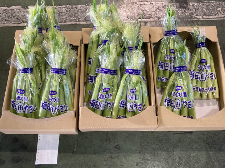 生産者のこだわり