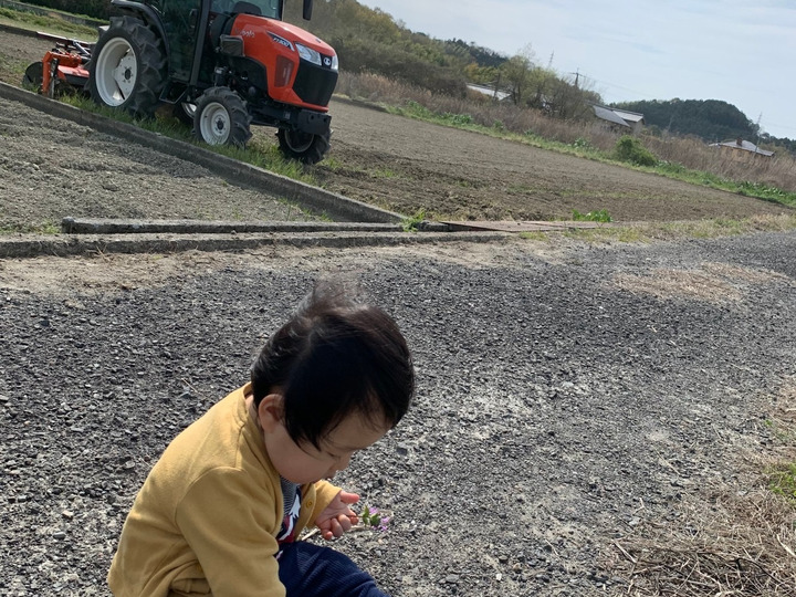 令和6年度新米】もっちりツヤツヤ！徳島県産アキサカリ【玄米