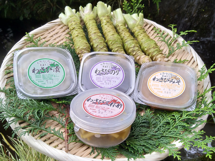本物の味“ 静岡 梅ヶ島 『わさび』500g （1本100〜200gサイズ