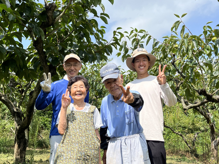 あっちゃん農園へのレビュー・商品：茨城県｜食べチョク｜産地直送