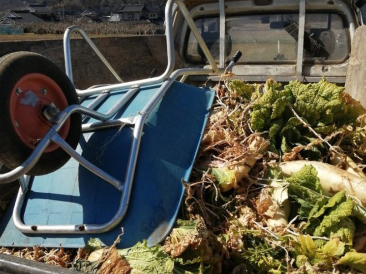 蛍の舞う山間部で栽培されたお米と落葉とれた旬な採れたて野菜を中心に与えています。