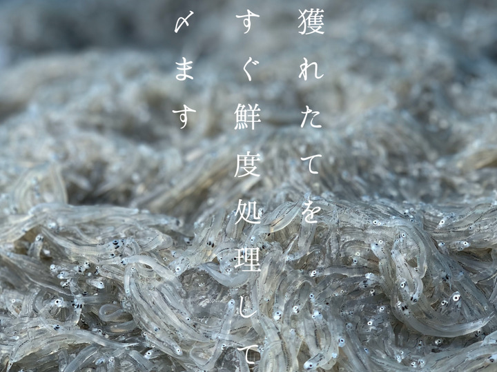 生産者のこだわり