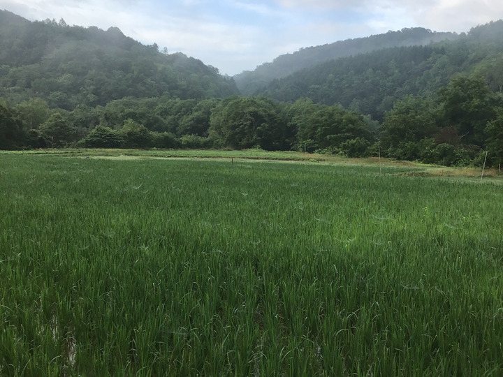 生産者のこだわり