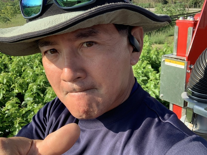 市川製茶園｜自然の中で安心安全な商品を提供し日本茶の普及を第一に考える