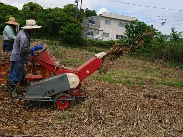 生産者のこだわり
