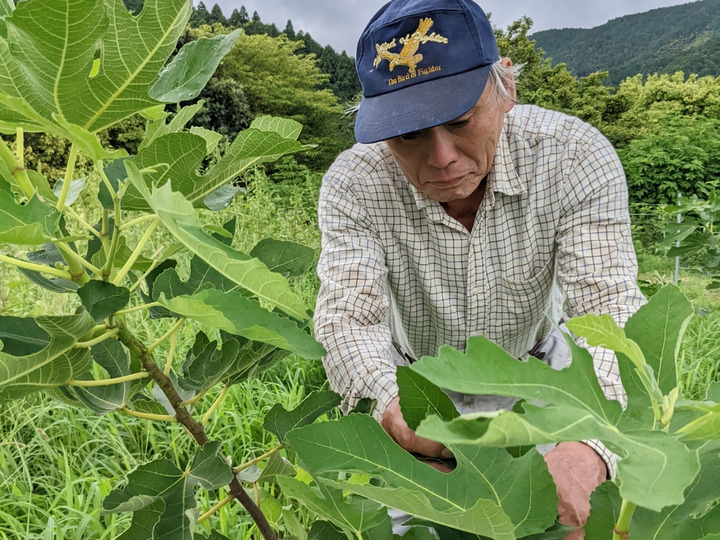 安心・安全な農作物づくり