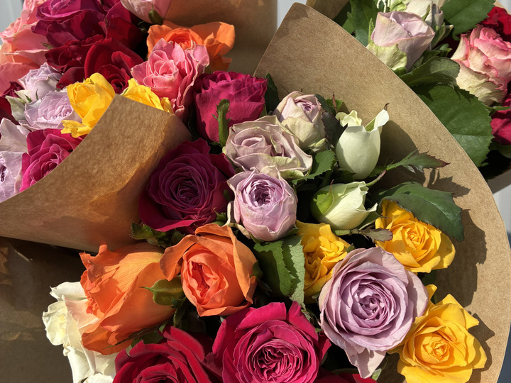 規格外だけど新鮮！産直バラおまかせMIX40cm•17本：愛知県産のバラ