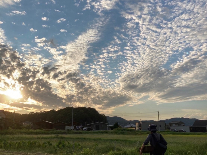 生産者のこだわり