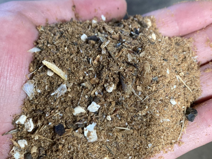 ミネラルたっぷり魚介や海藻の有機肥料