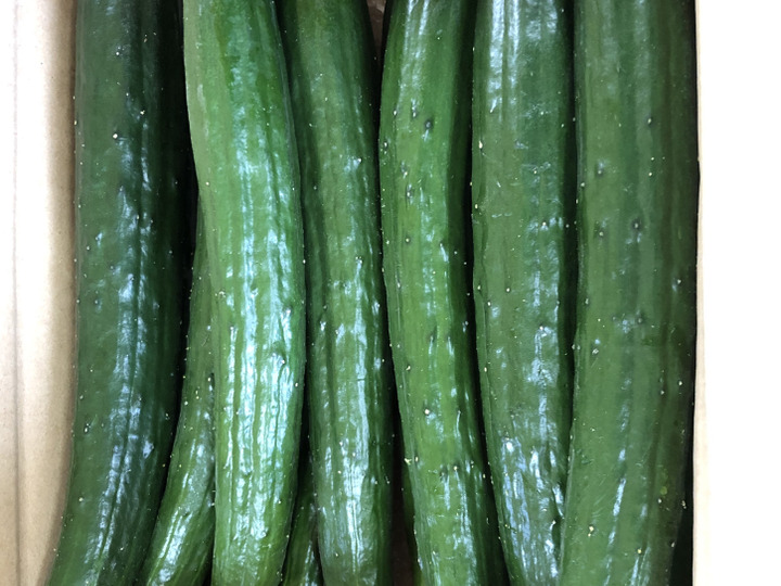 【大特価!!】 訳ありお得‼️】春薫るスナップエンドウ スジナイン 長崎県産 お 野菜