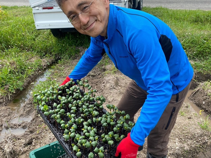 生産者のこだわり