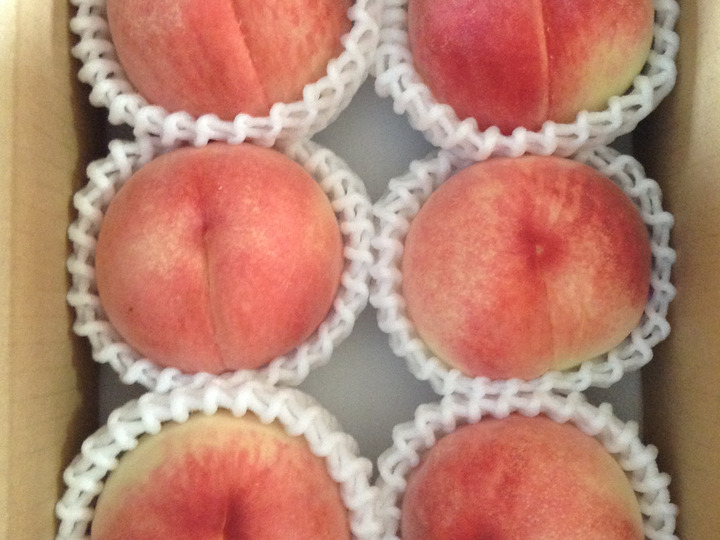 生産者のこだわり