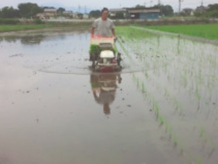 生産者のこだわり