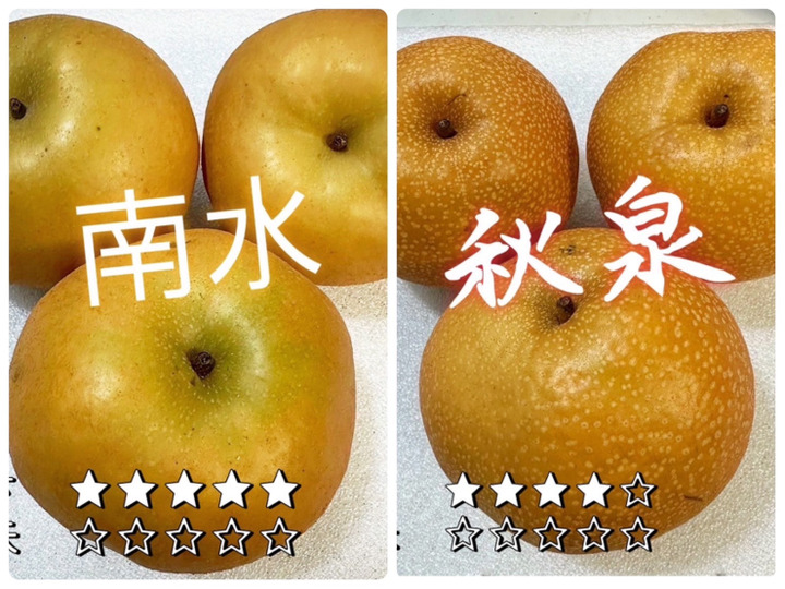 生産者のこだわり