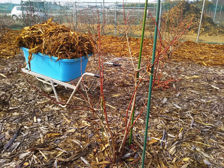 生産者のこだわり