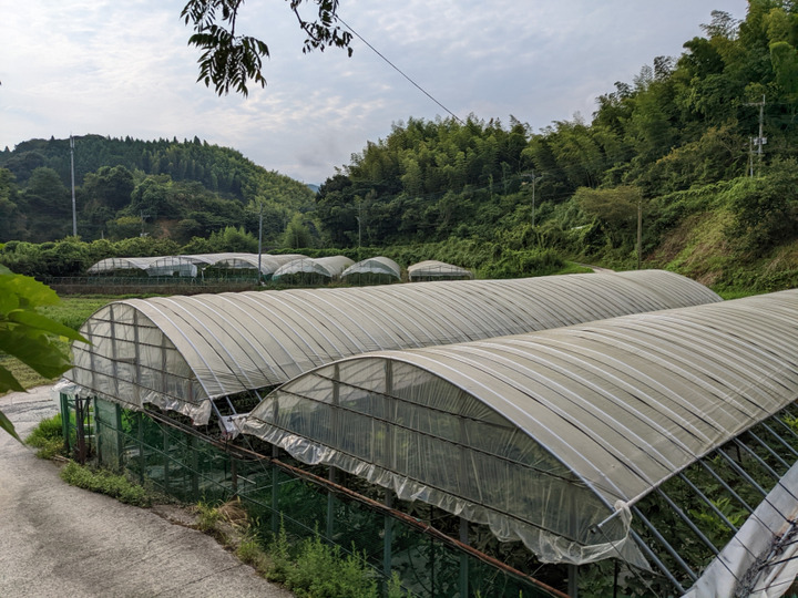 自然豊かな土地で生産
