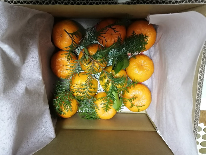 生産者のこだわり