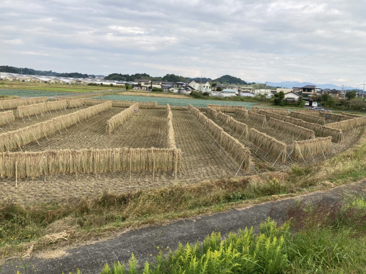 生産者のこだわり
