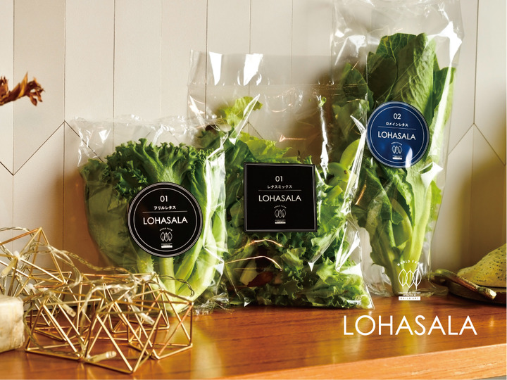 レビュー95件以上！LED施設栽培野菜 LOHASALA レタスミックス(5個セット×小分け100g) 洗わずに食べられる魅力満載のサスティナブル新野菜 【菌数管理栽培野菜】：神奈川県産の野菜｜食べチョク｜産地直送(産直)お取り寄せ通販 - 農家・漁師から旬の食材を直送