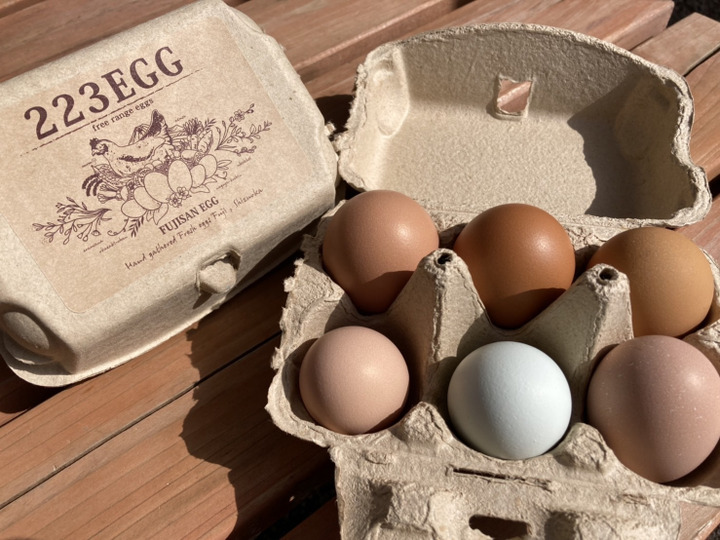 平飼い 卵 6個パック］ 烏骨鶏 （うこっけい）223EGG たまご：静岡県産 