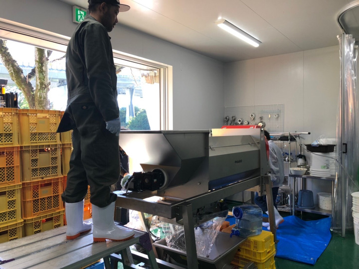 生産者のこだわり