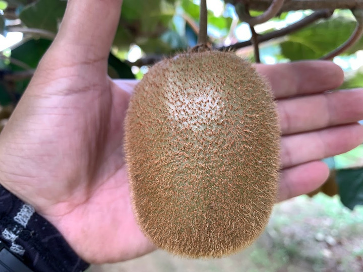生産者のこだわり