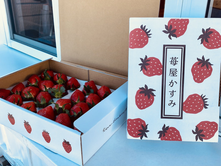 群馬県品評会2年連続金賞！】大粒！やよいひめスーパーデラックス