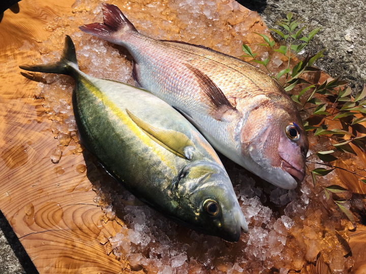 生産者のこだわり
