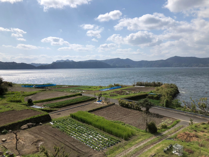 池田湖からの風に吹かれて
