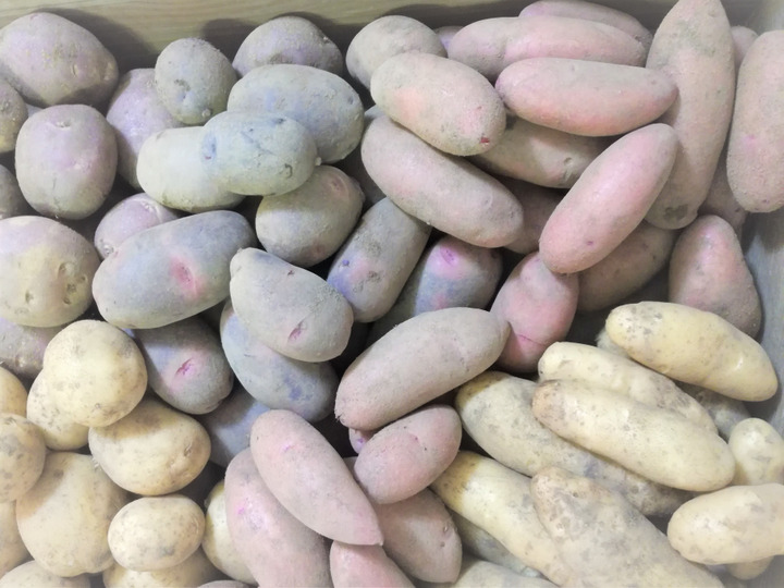 生産者のこだわり