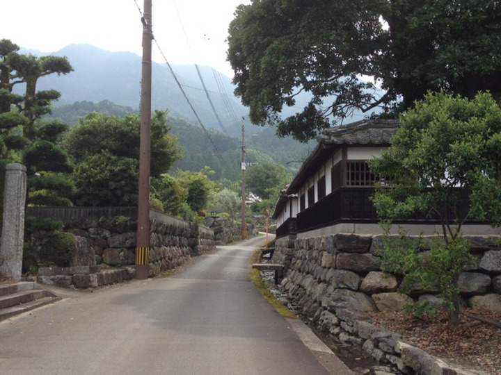 石垣の風景が残るこの土地をオリーブとハーブの拠点としたい。と思っています
