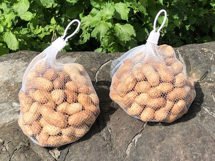 ✨千葉県産✨落花生✨おおまさりネオ種✨200粒✨ ゆで豆用落花生「おおまさりネオ」の育成~甘くて、やわらかい