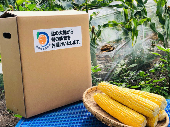 生産者のこだわり